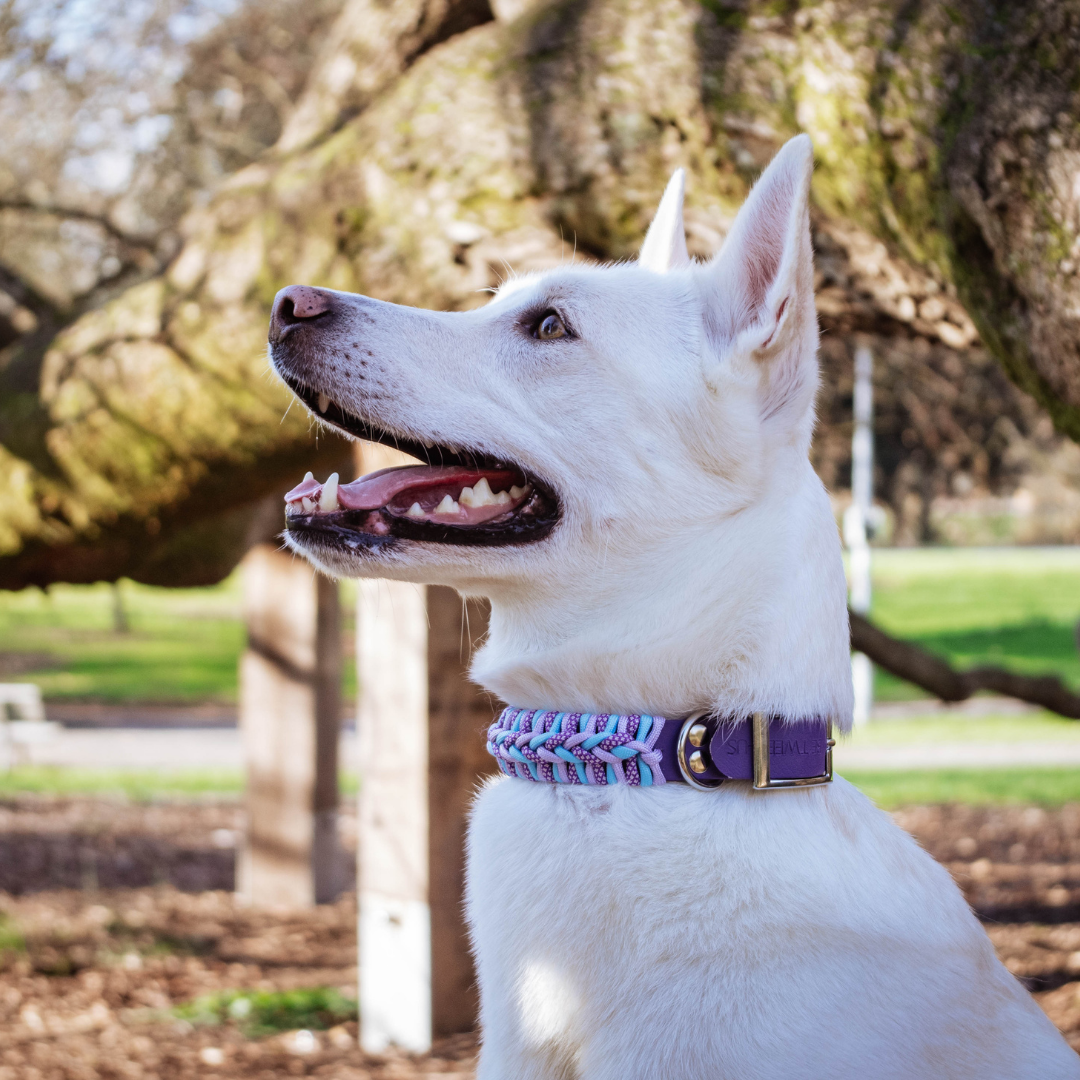 🌄 Collier OLYMPE - 36 à 44 cm