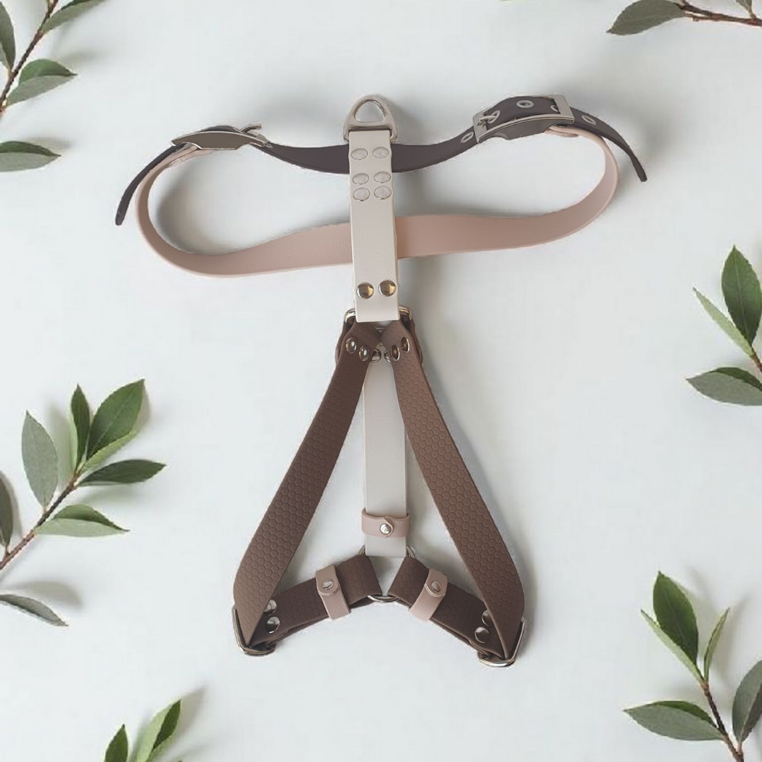 🐊 Harnais biothane CROC BOUE - sangle de 25 mm de largeur