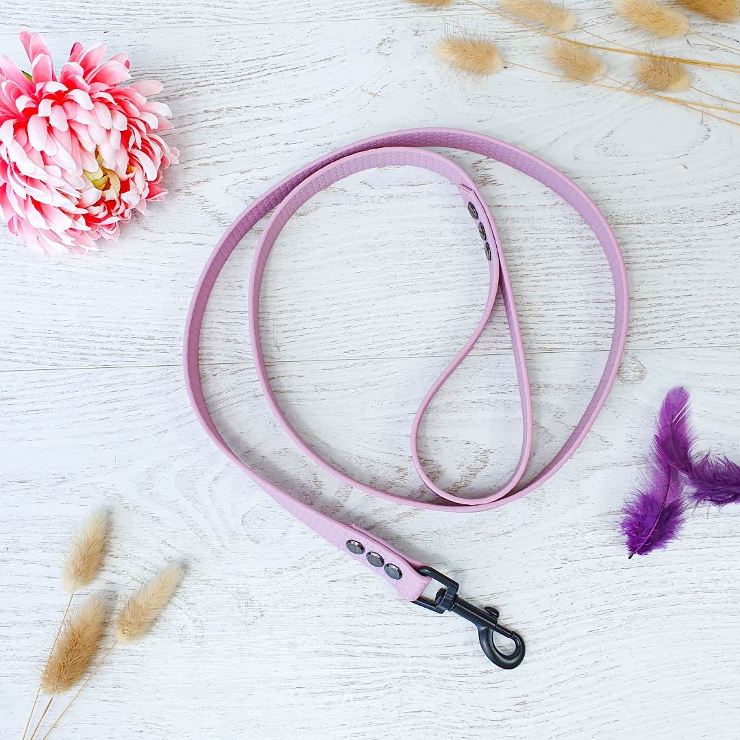 🐗 Laisse GRIZOU - sangle PVC