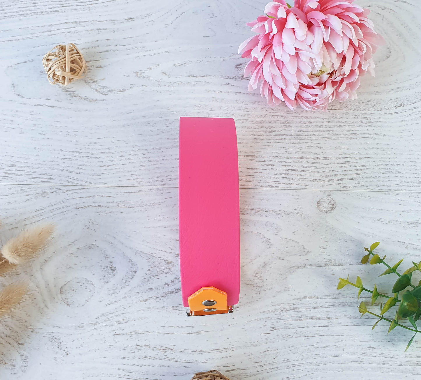 🏞️ Collier YUKON biothane