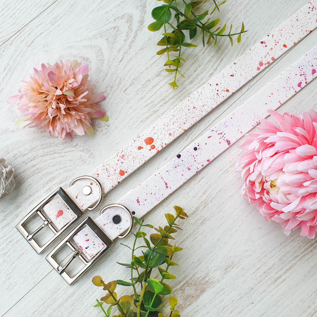 🌠 Collier NOVA biothane