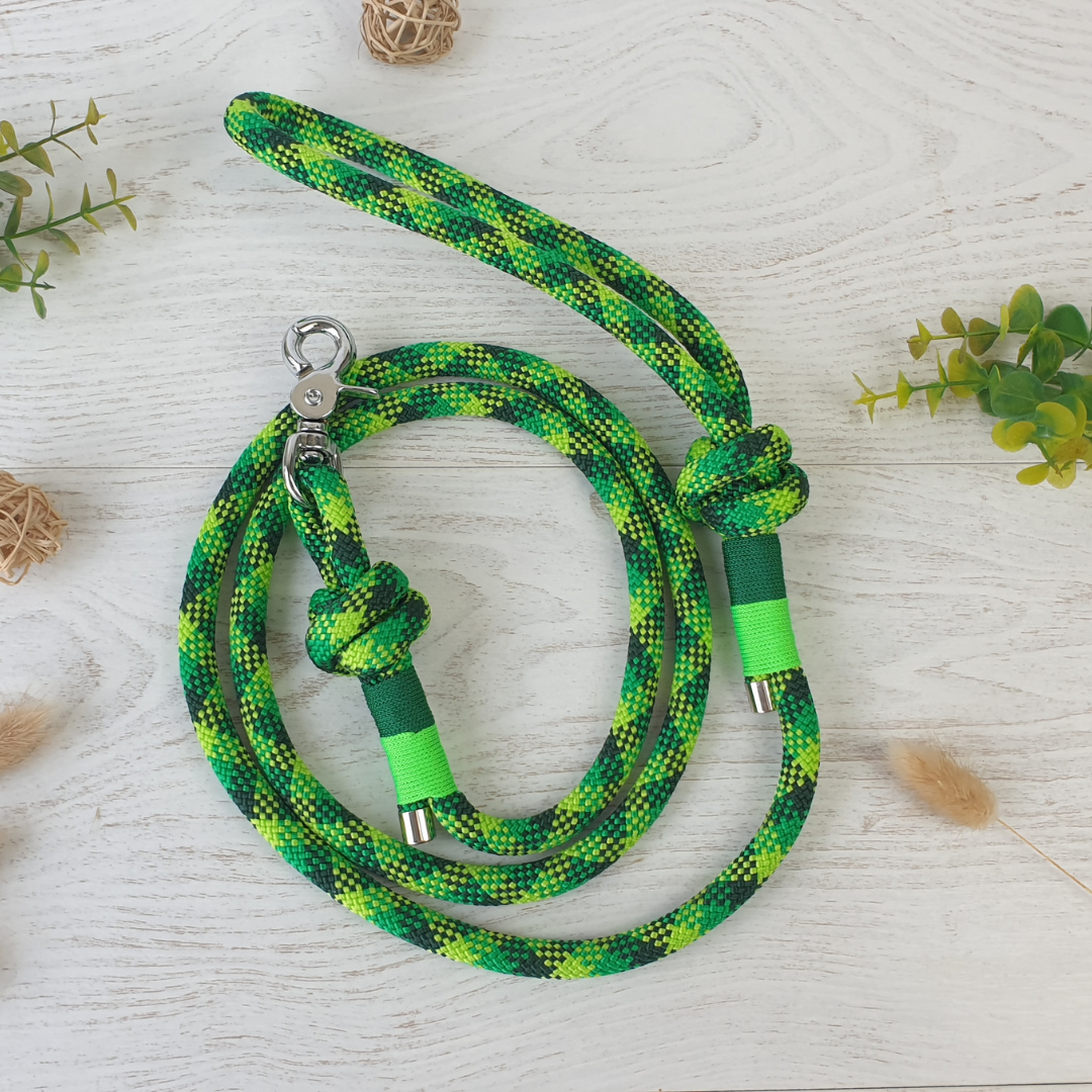 Laisse COMPAGNON - finition corde