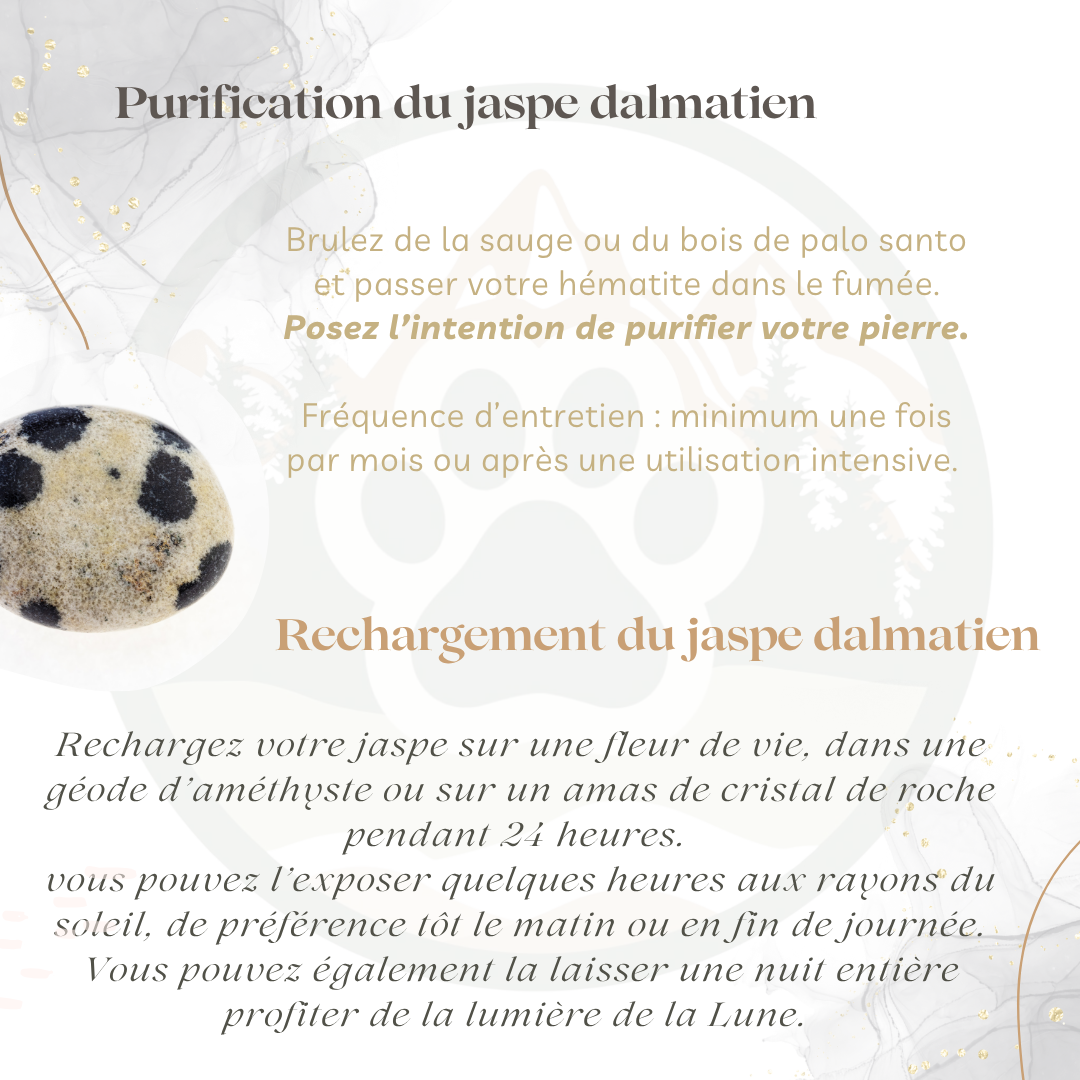 Pierre Jaspe Dalmatien — Moral & endurance