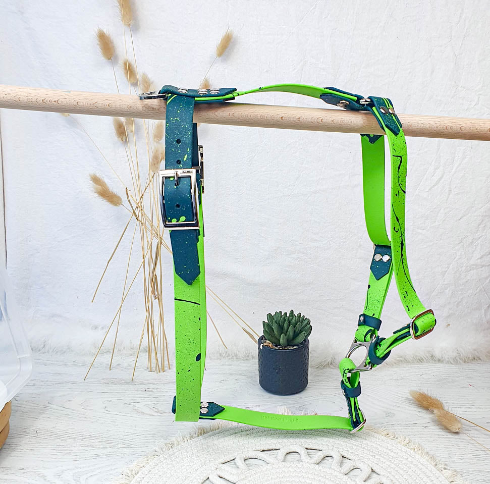 🐊 Harnais biothane CROC BOUE - sangle de 25 mm de largeur