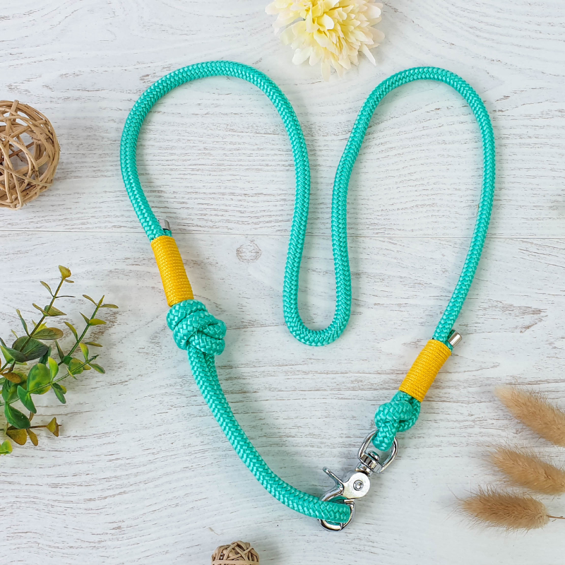 Laisse COMPAGNON - finition corde