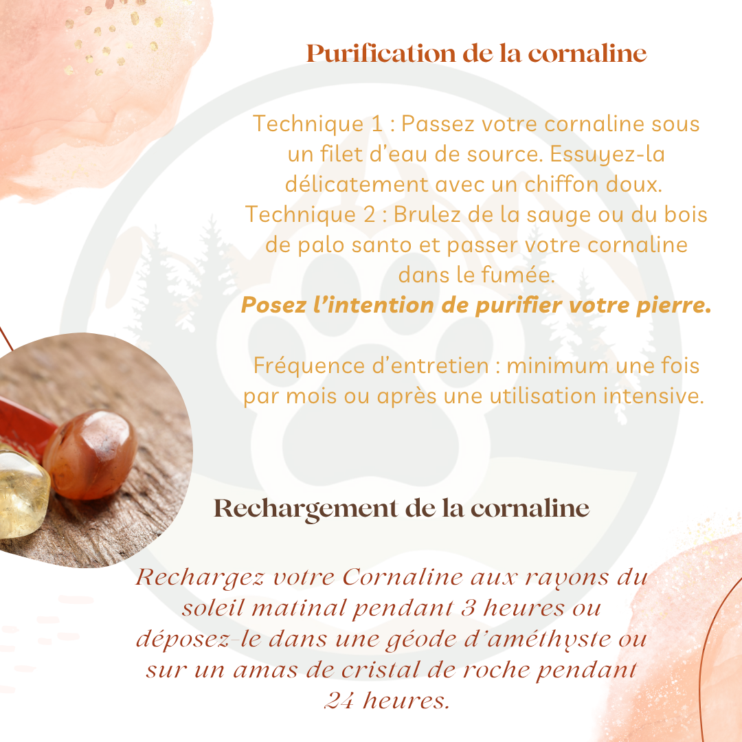 Pendentif en Cornaline — Vitalité & motivation