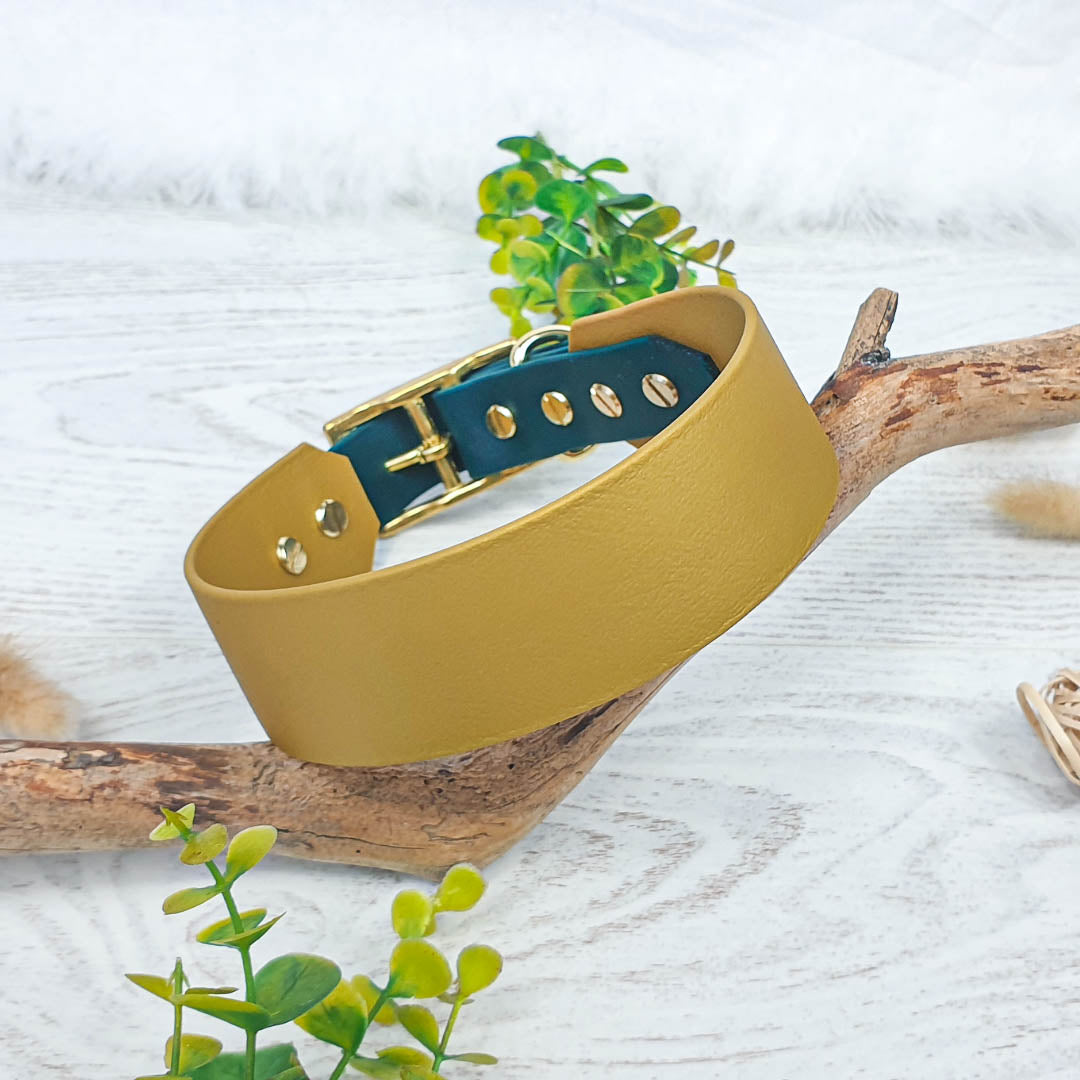 🏞️ Collier YUKON biothane