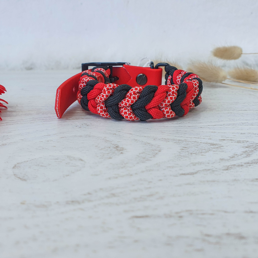 🌅 Collier LUMEN  - paracorde