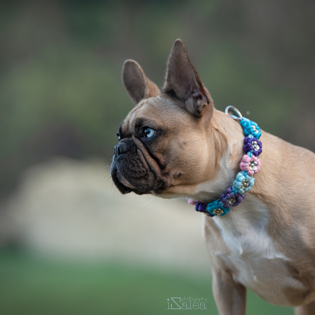 🌸 Collier GAIA - paracorde