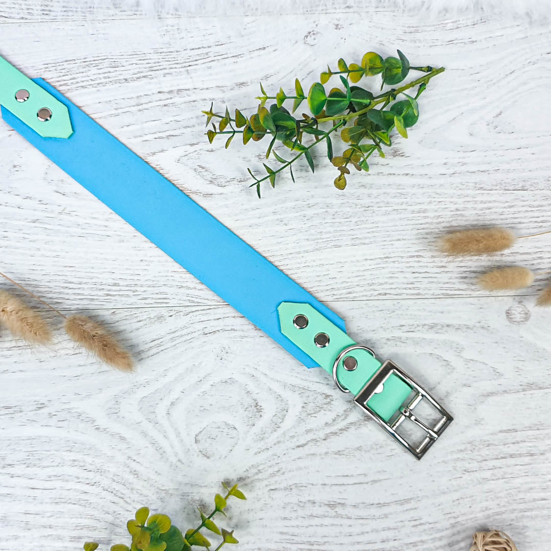 🏞️ Collier YUKON biothane