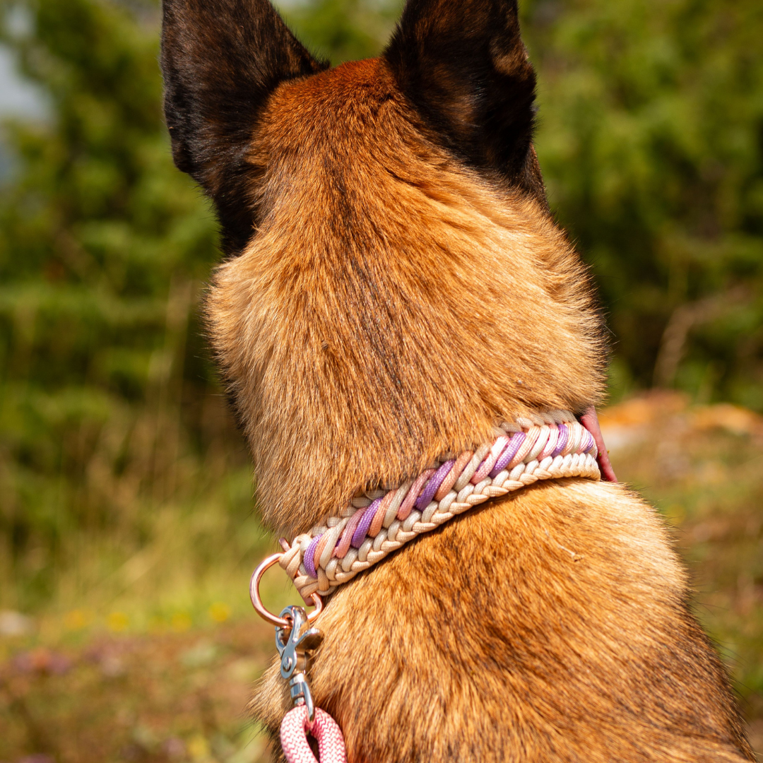 🌾 Collier KOARA  - paracorde