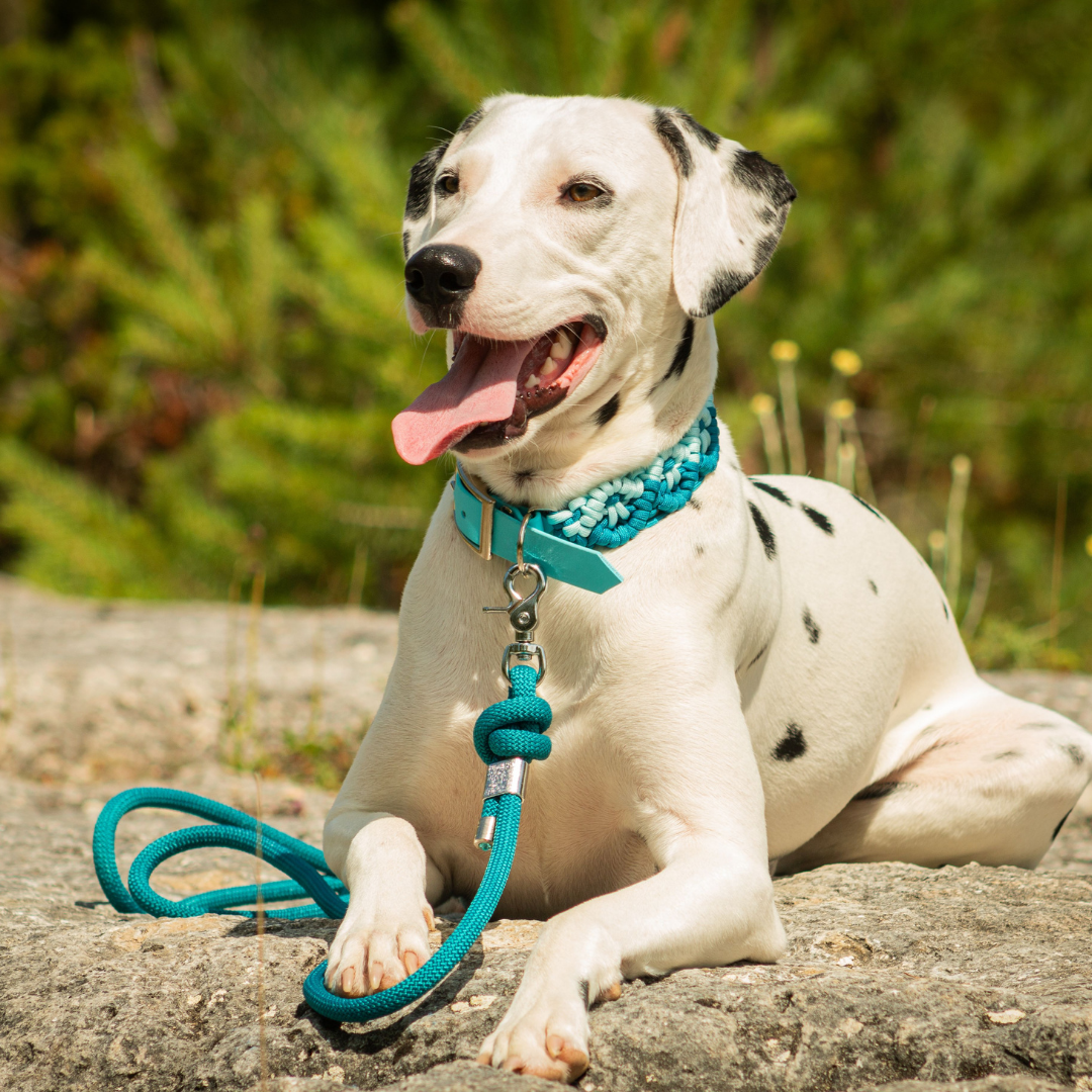 🧚‍♀️ Collier NYMERIA  - paracorde