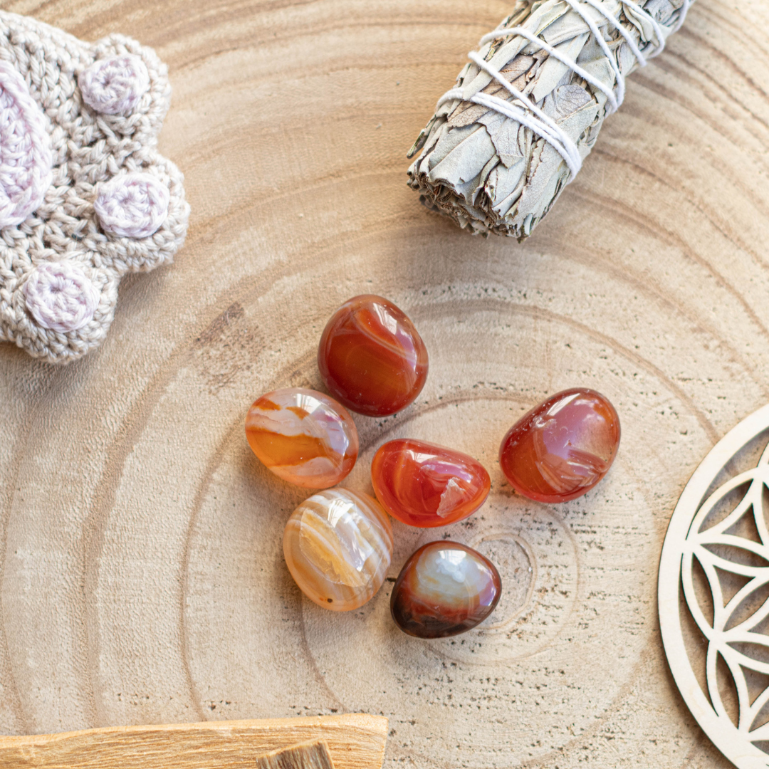 Pierre Cornaline — Vitalité & motivation