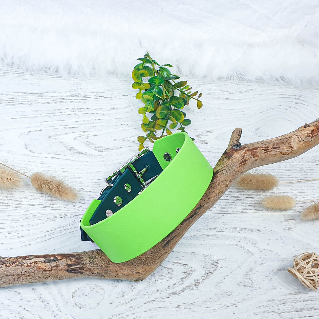 🏞️ Collier YUKON biothane