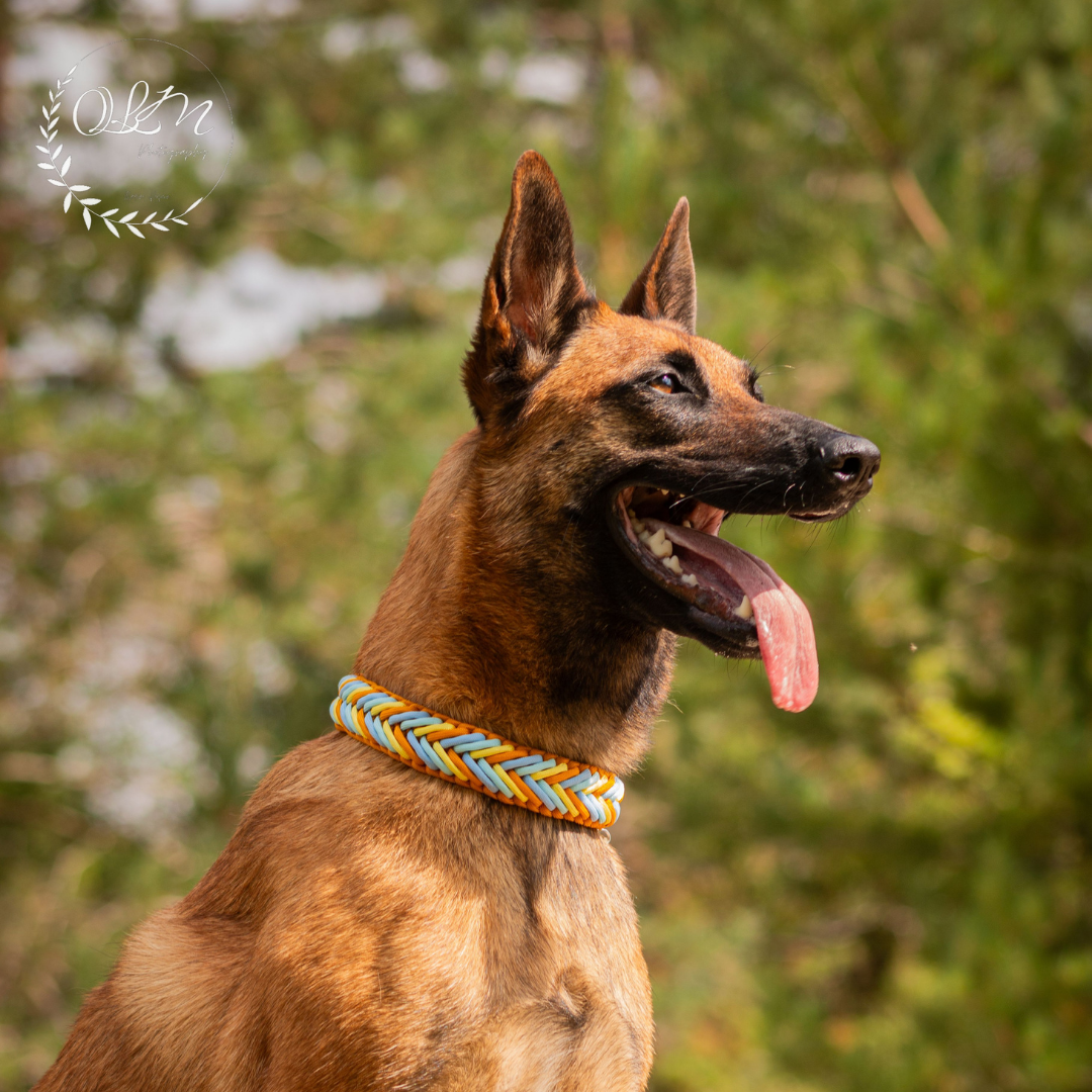 🌊 Collier NEREE - paracorde