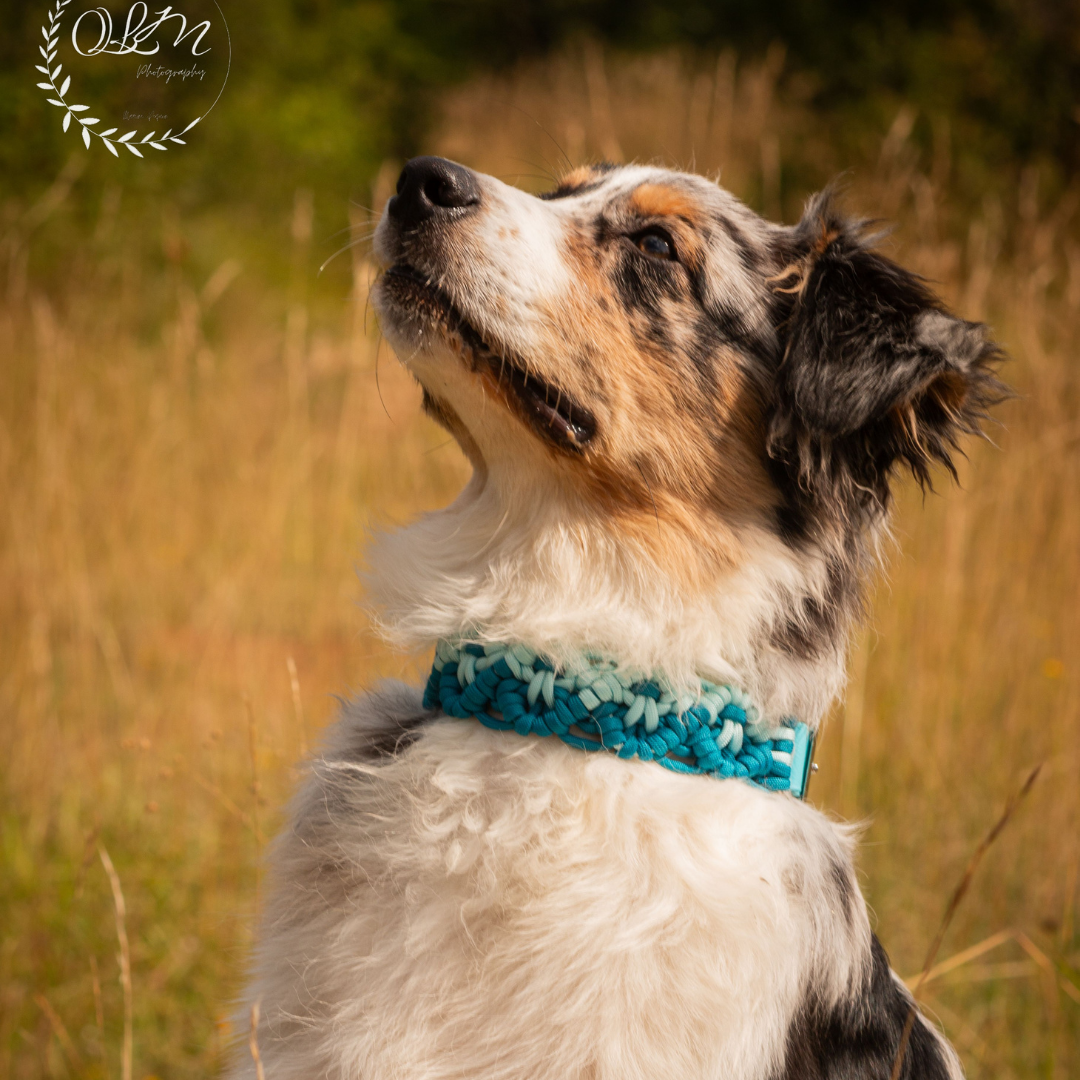 🧚‍♀️ Collier NYMERIA  - paracorde