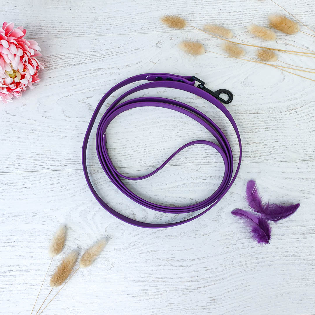 🐗 Laisse GRIZOU - sangle PVC