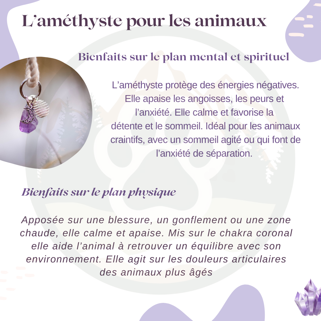 Pendentif en Améthyste — Calme & apaisement