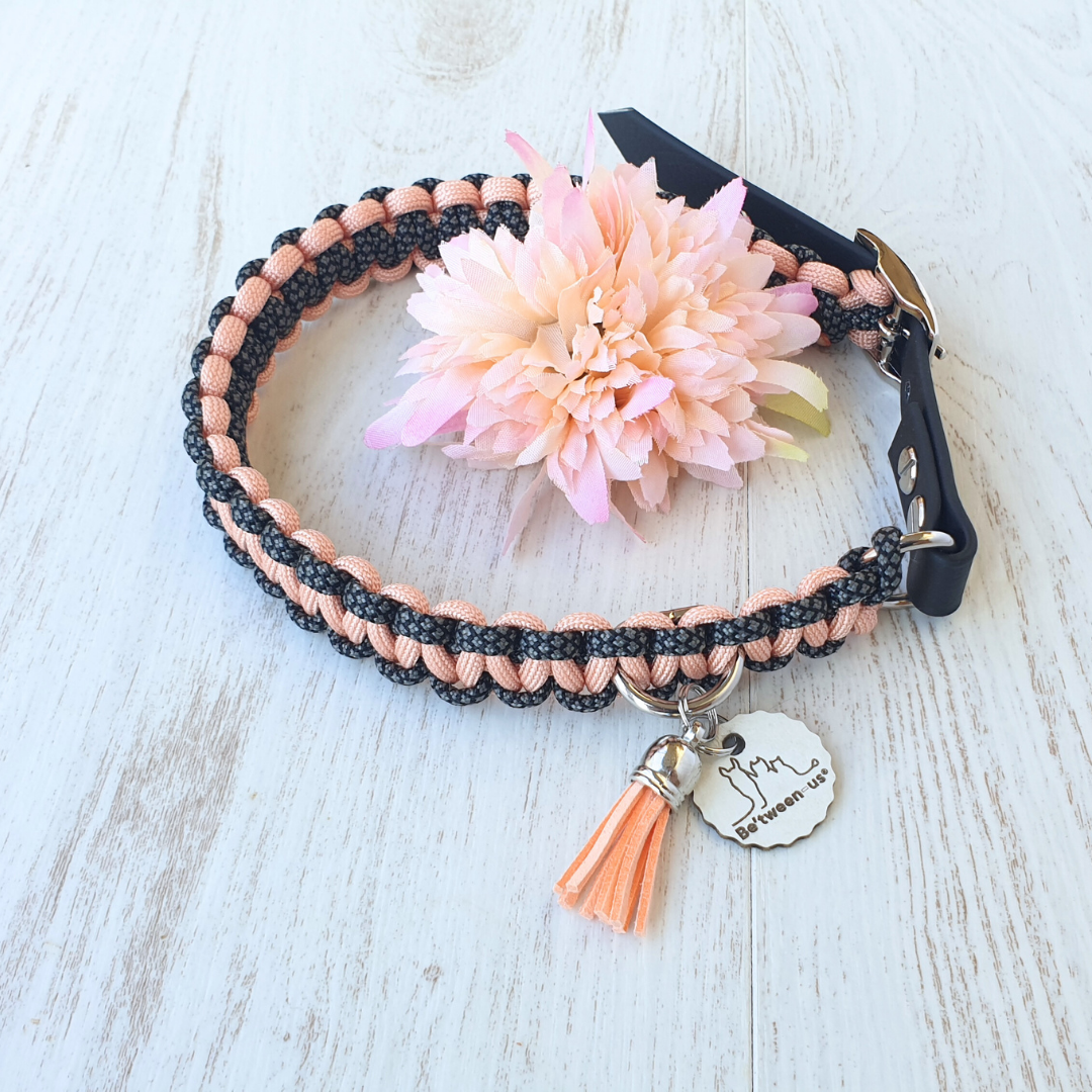 🌳 Collier PIKOU  - paracorde