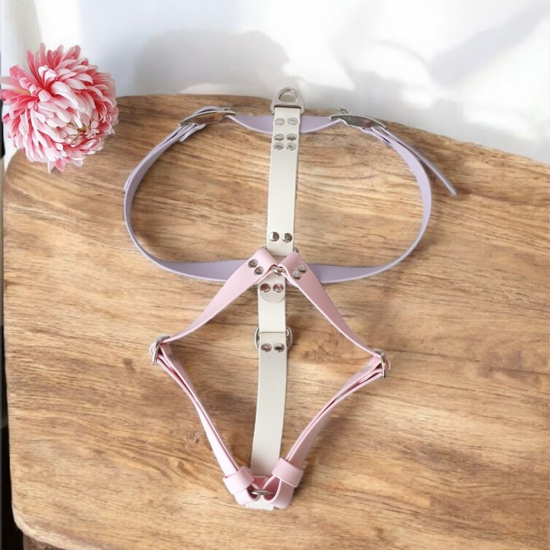 🐸 Harnais biothane CRAPO BOUE - sangle 19 mm de largeur