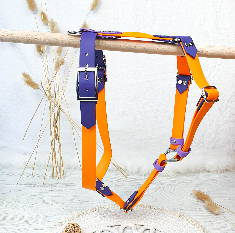 🐊 Harnais biothane CROC BOUE - sangle de 25 mm de largeur