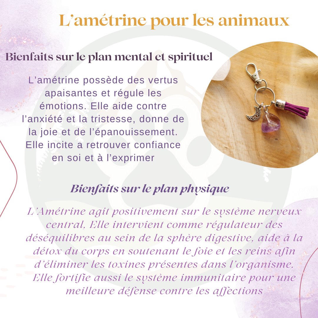 Pendentif en Amétrine — Paix & apaisement