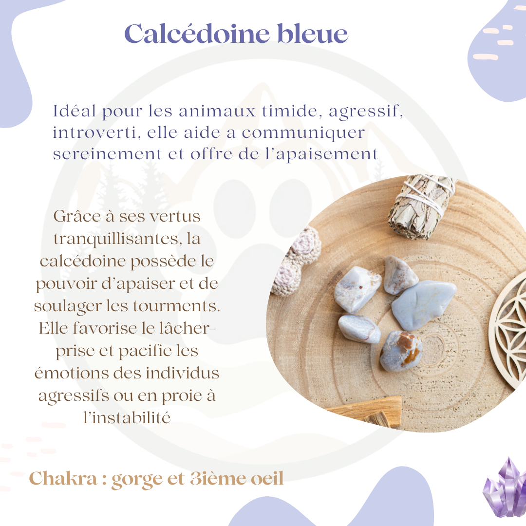 Pierre Calcédoine Bleue — Communication & sérénité