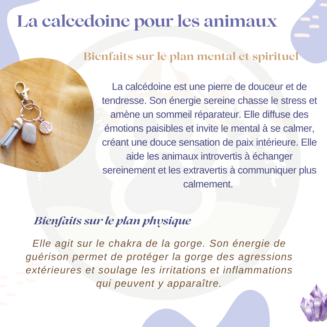 Pierre Calcédoine Bleue — Communication & sérénité