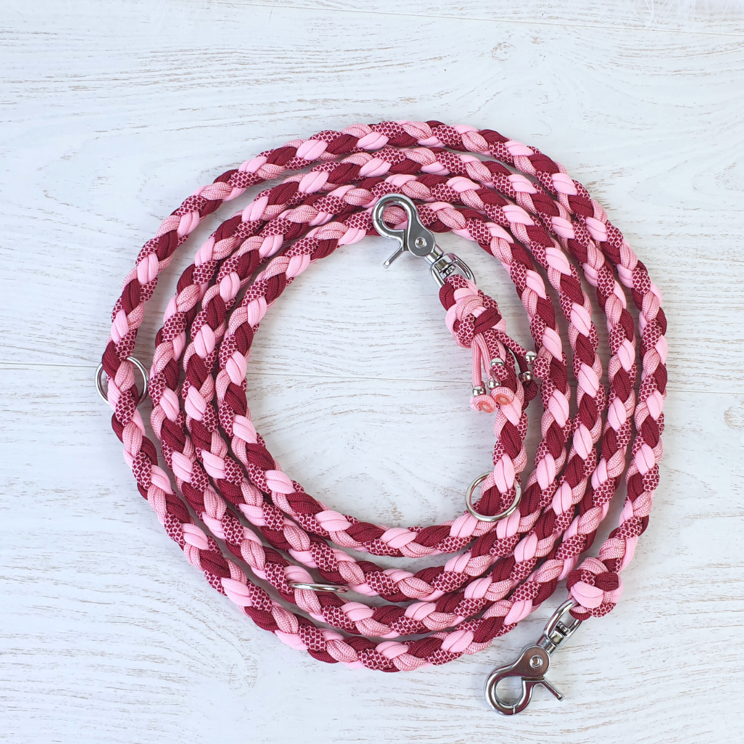 Laisse multiposition SILVA paracorde