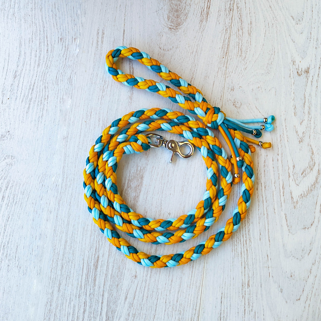 Laisse HARMONIE - paracorde tressée