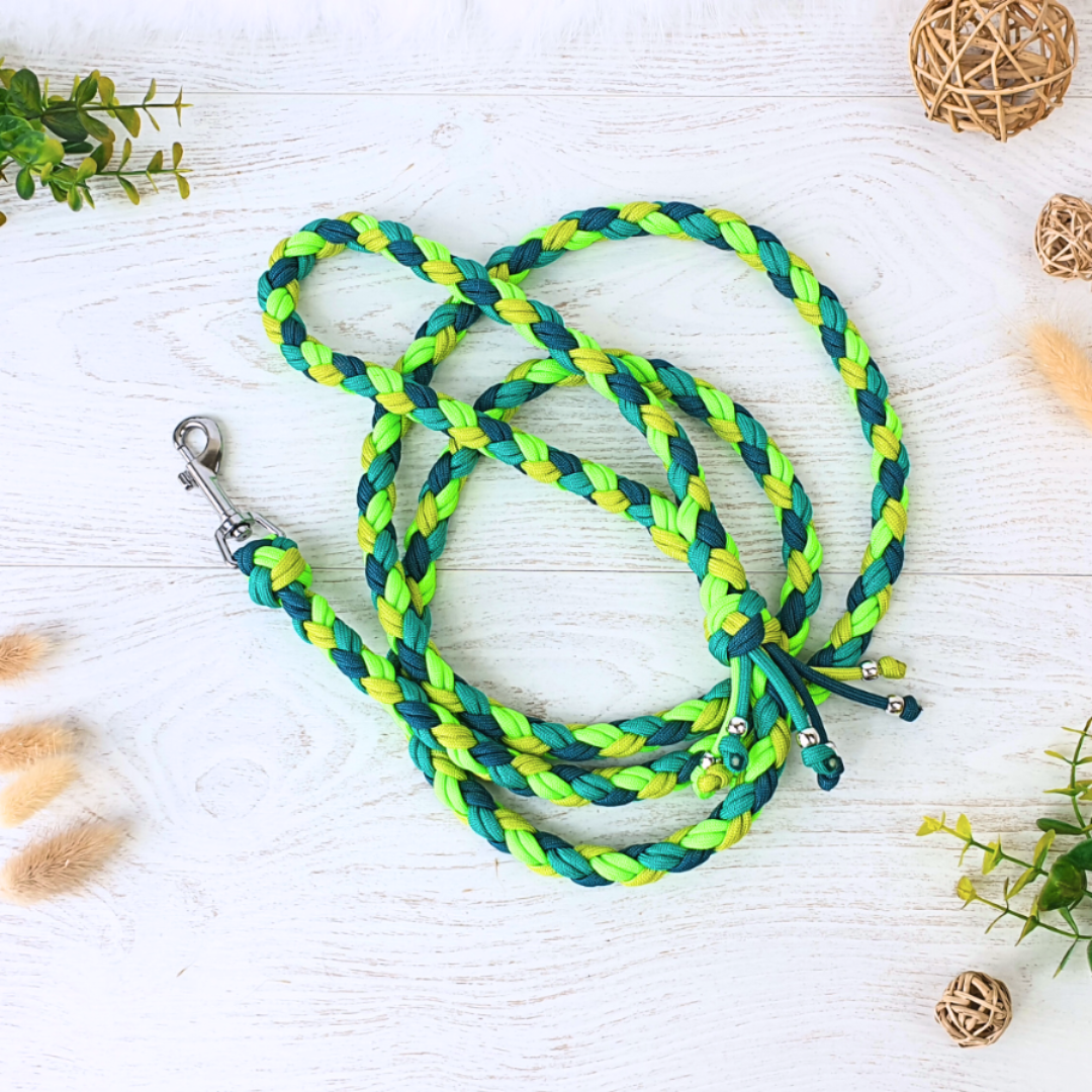 Laisse HARMONIE - paracorde tressée