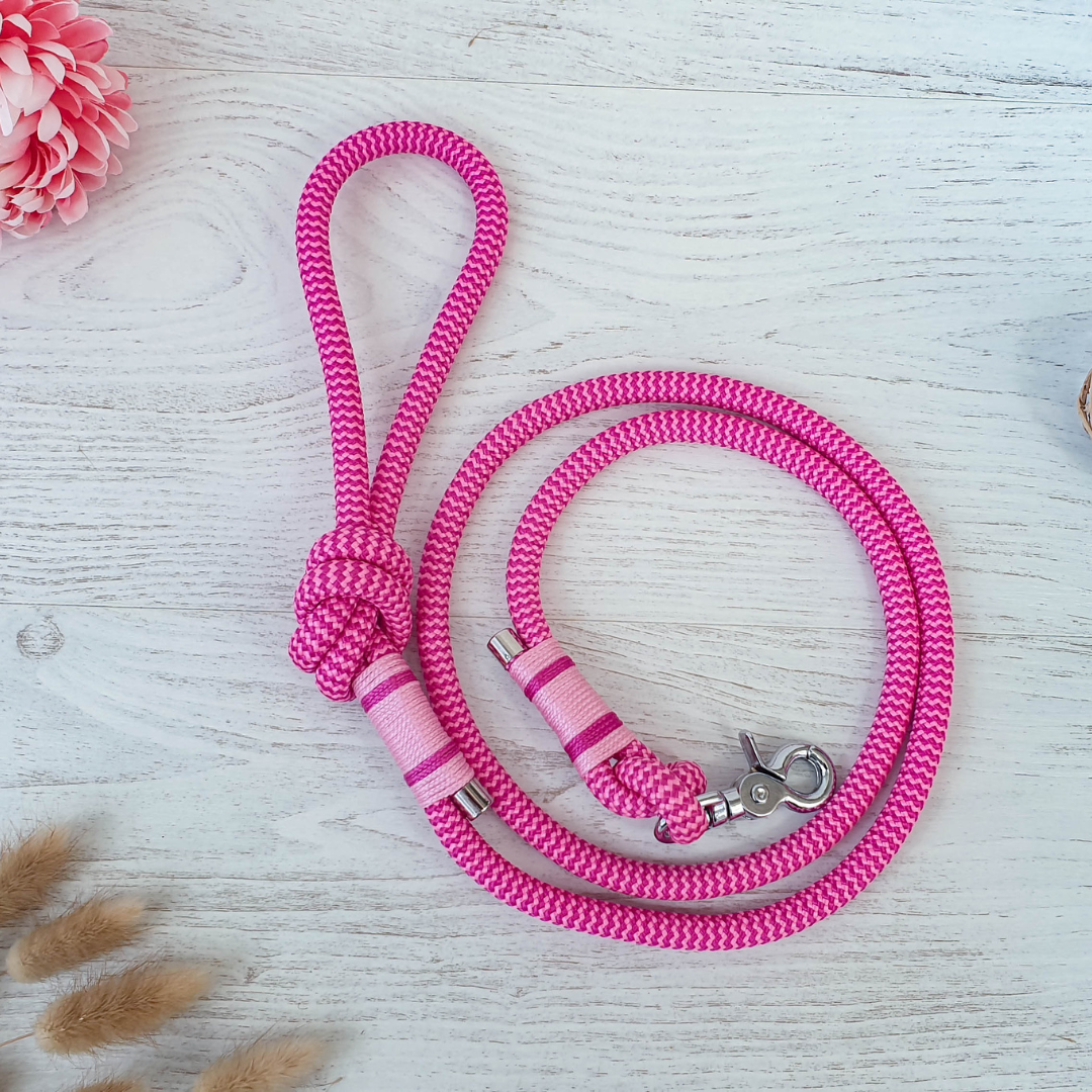 Laisse COMPAGNON - finition corde