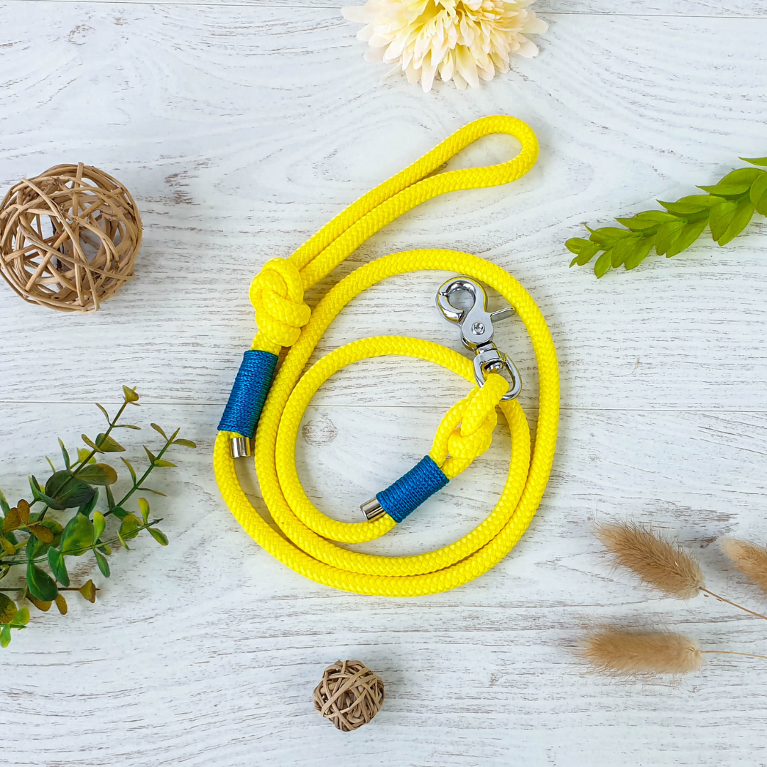 Laisse COMPAGNON - finition corde