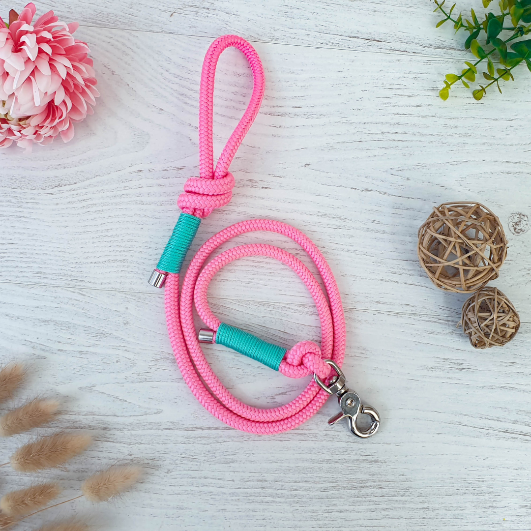 Laisse COMPAGNON - finition corde