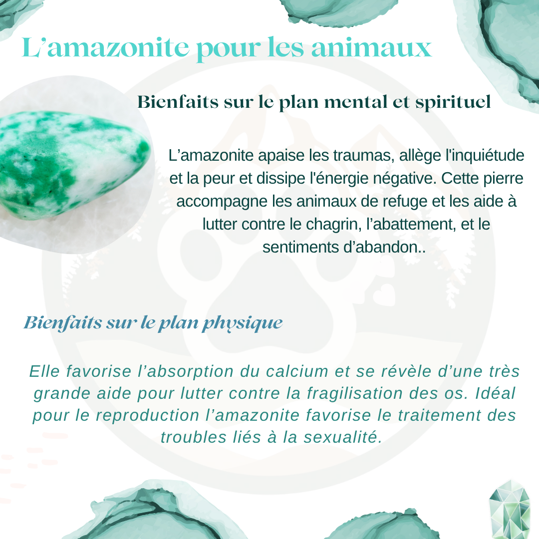 Pendentif en Amazonite — Réconfort & douceur