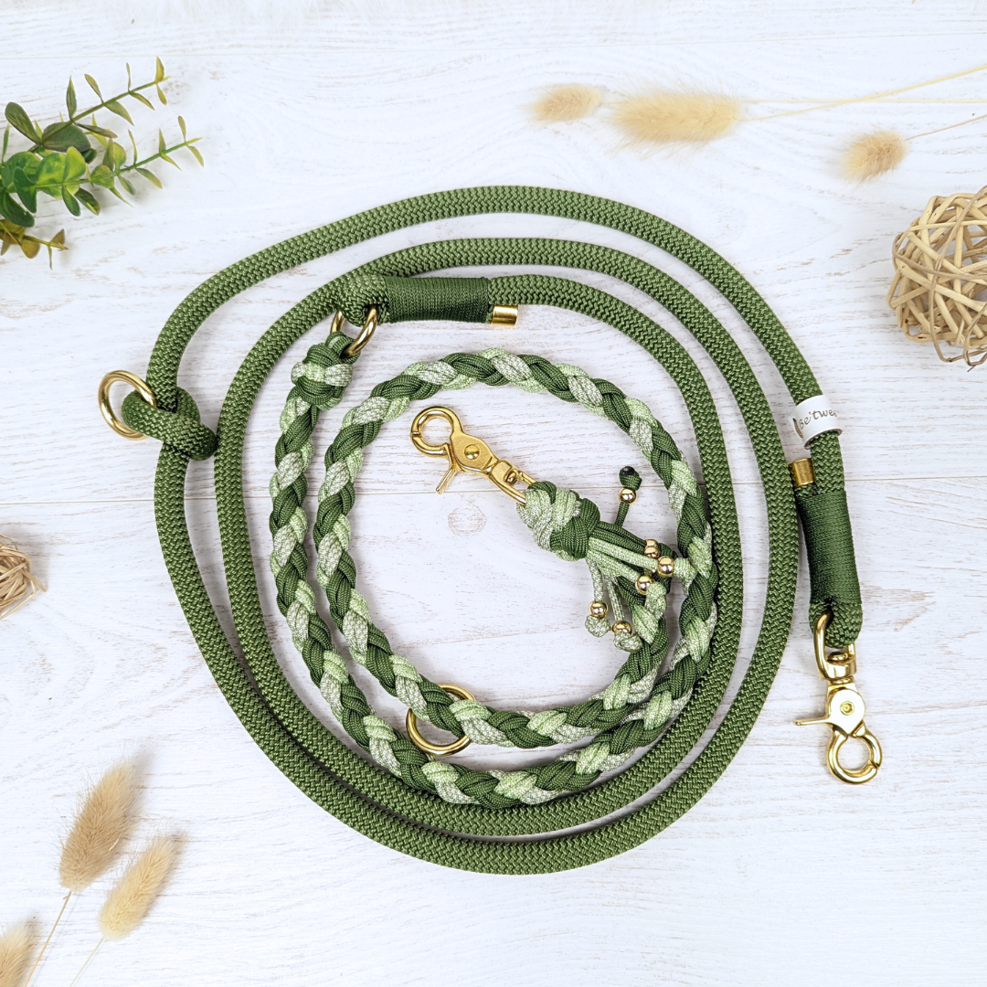 Laisse multiposition NERYN - paracorde - corde