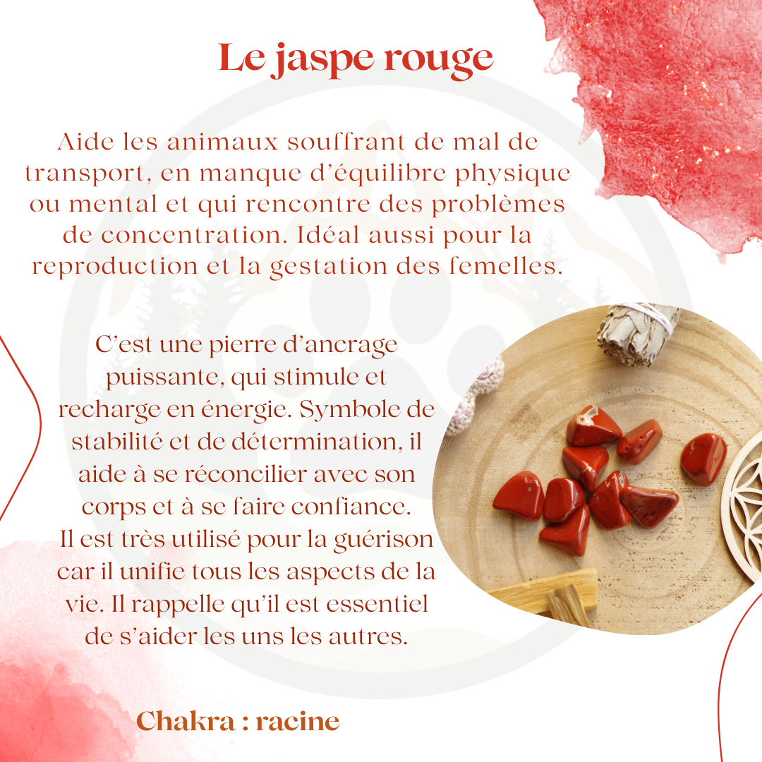 Pierre Jaspe rouge — Ancrage & volonté