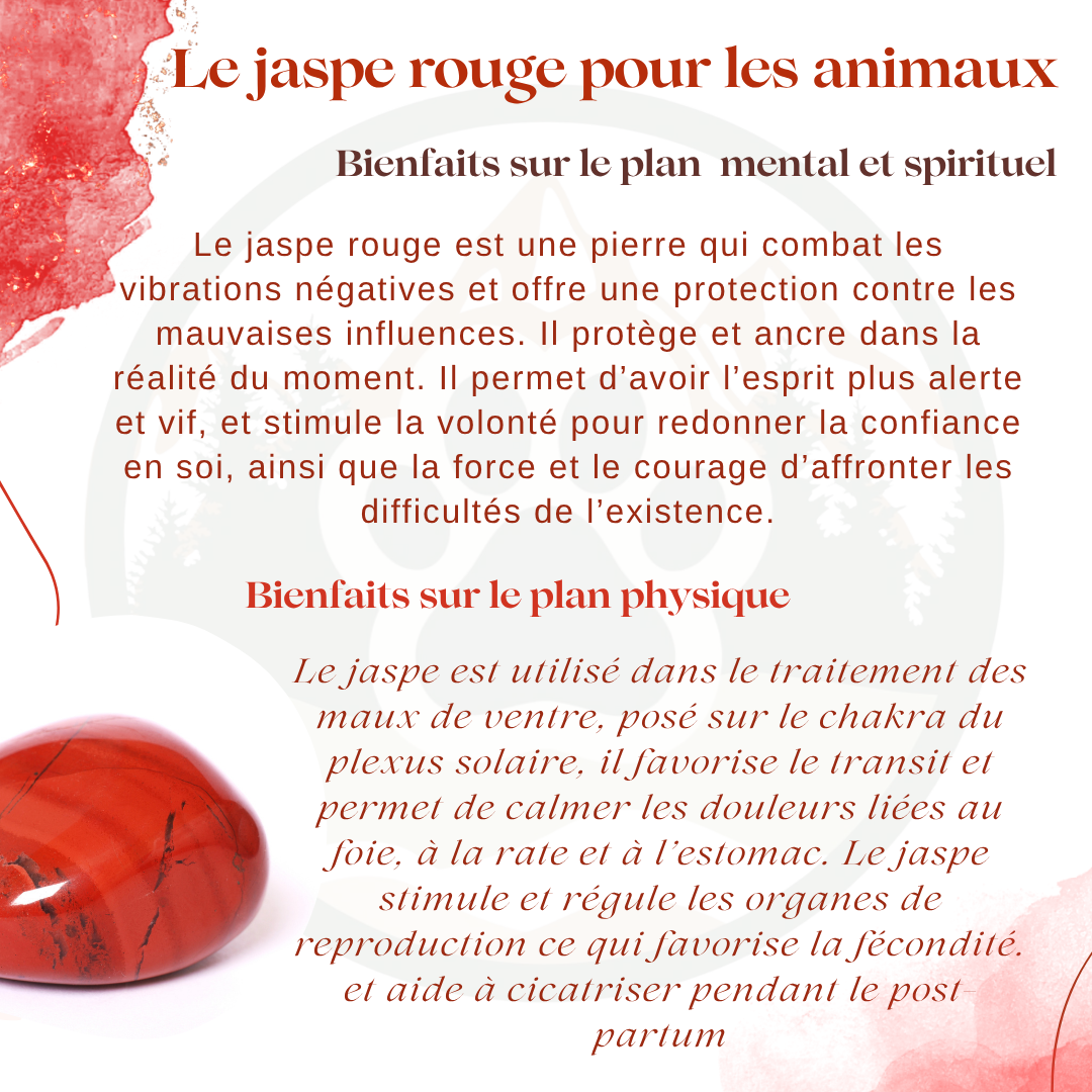 Pierre Jaspe rouge — Ancrage & volonté