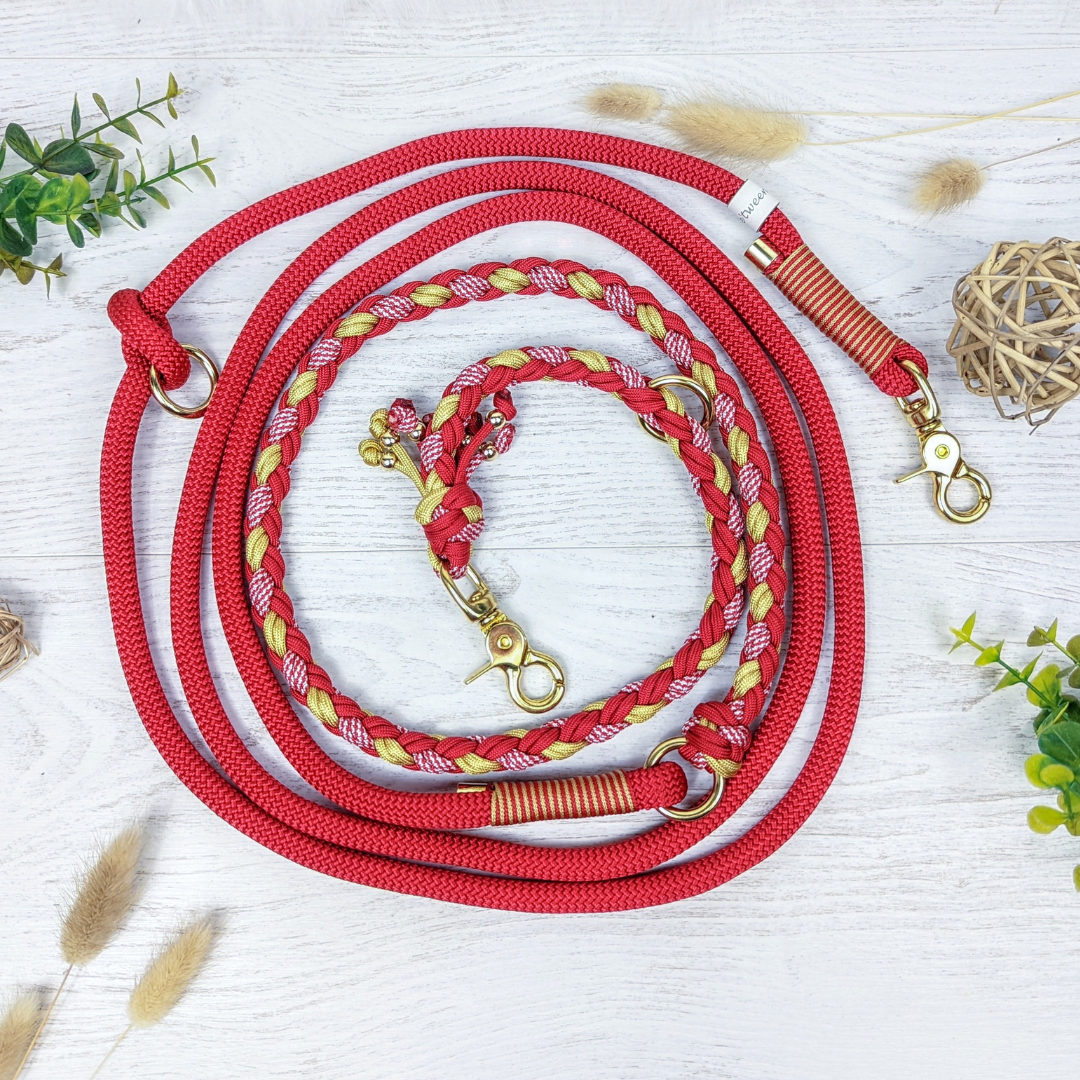 Laisse multiposition NERYN - paracorde - corde