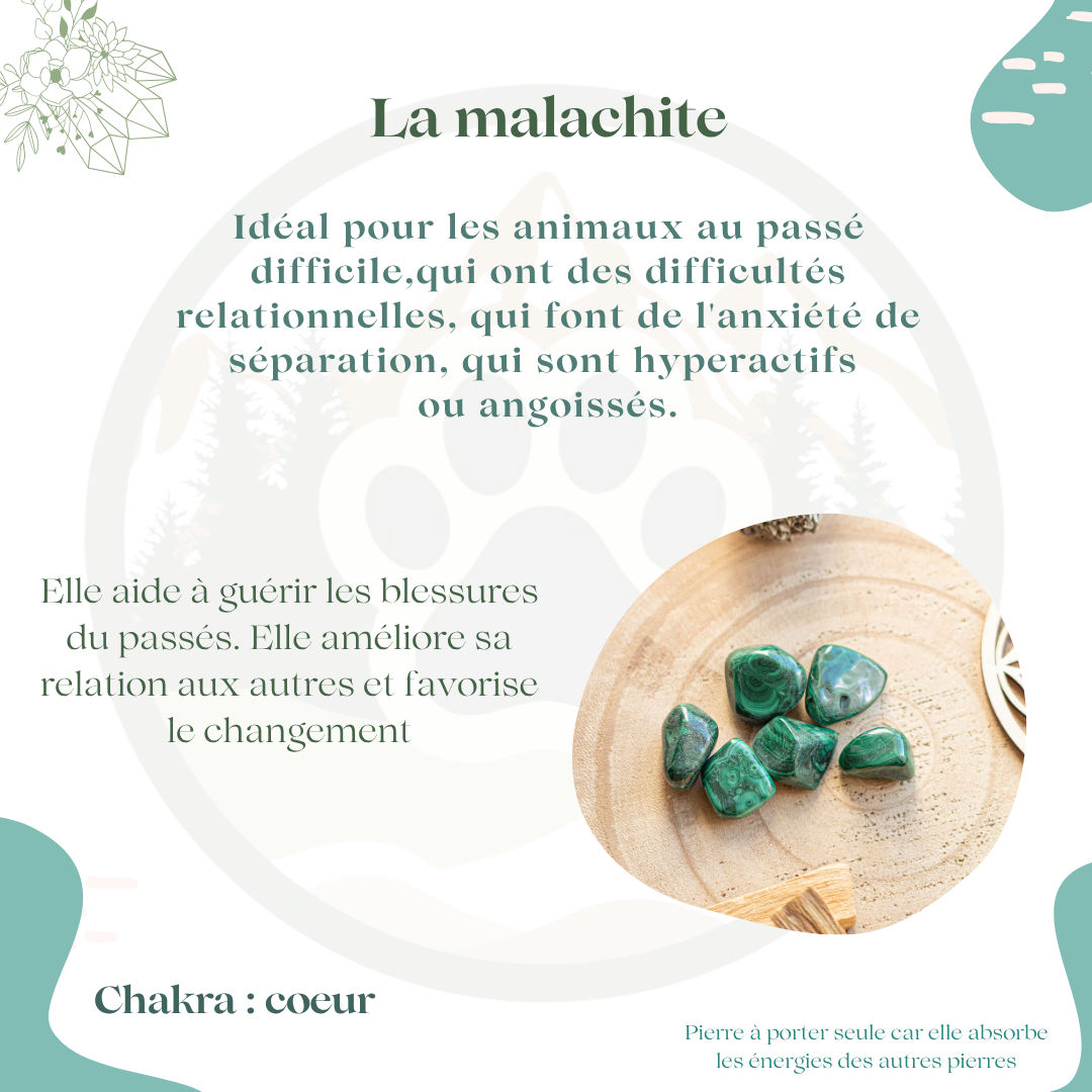 Pendentif en Malachite — Guérison & évolution