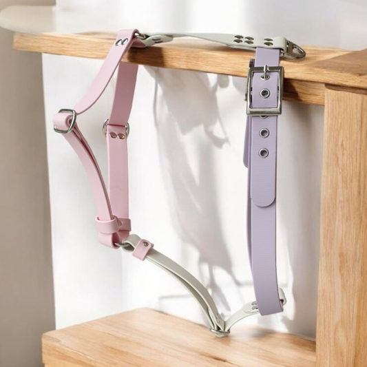 🐸 Harnais biothane CRAPO BOUE - sangle 19 mm de largeur