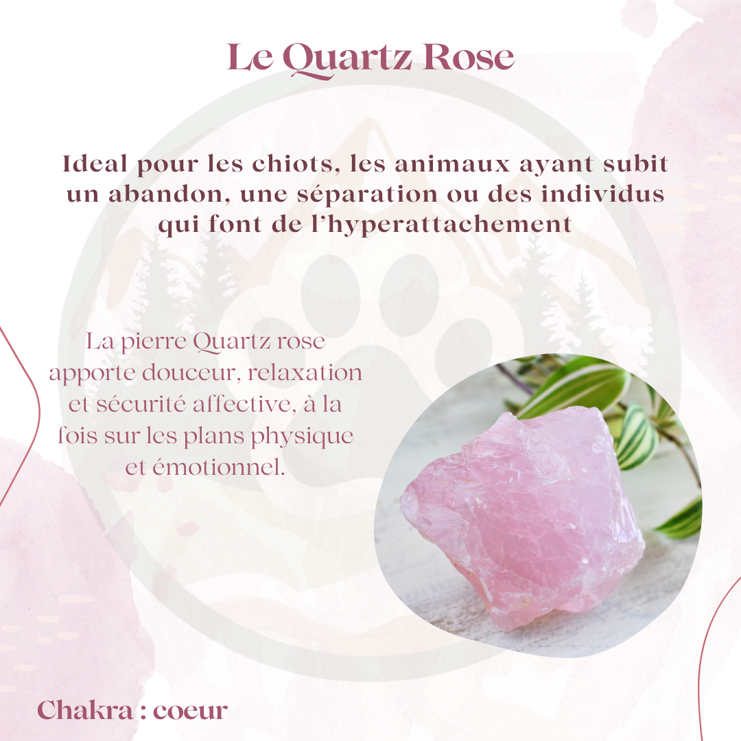 Pierre Quartz Rose — Douceur & sécurité