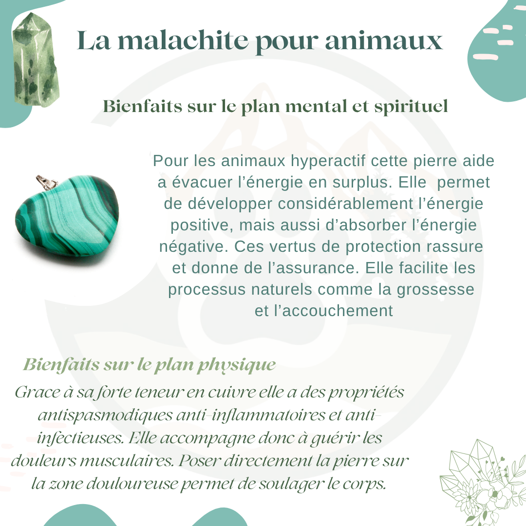 Pendentif en Malachite — Guérison & évolution