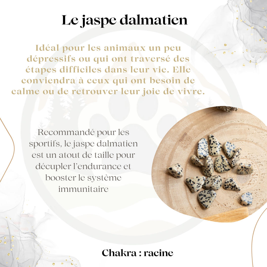 Pendentif en Jaspe Dalmatien — Moral & endurance