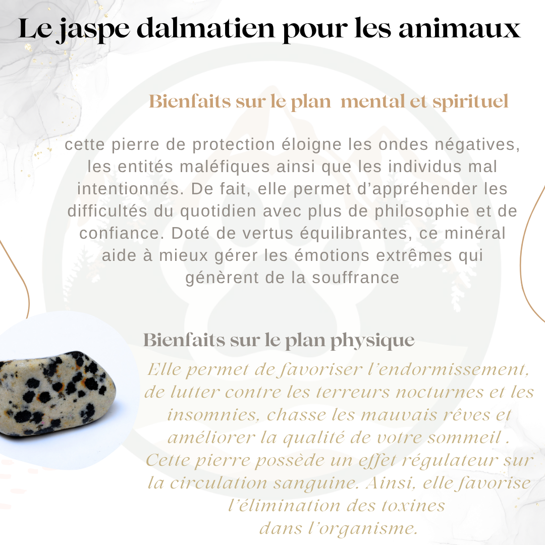 Pendentif en Jaspe Dalmatien — Moral & endurance