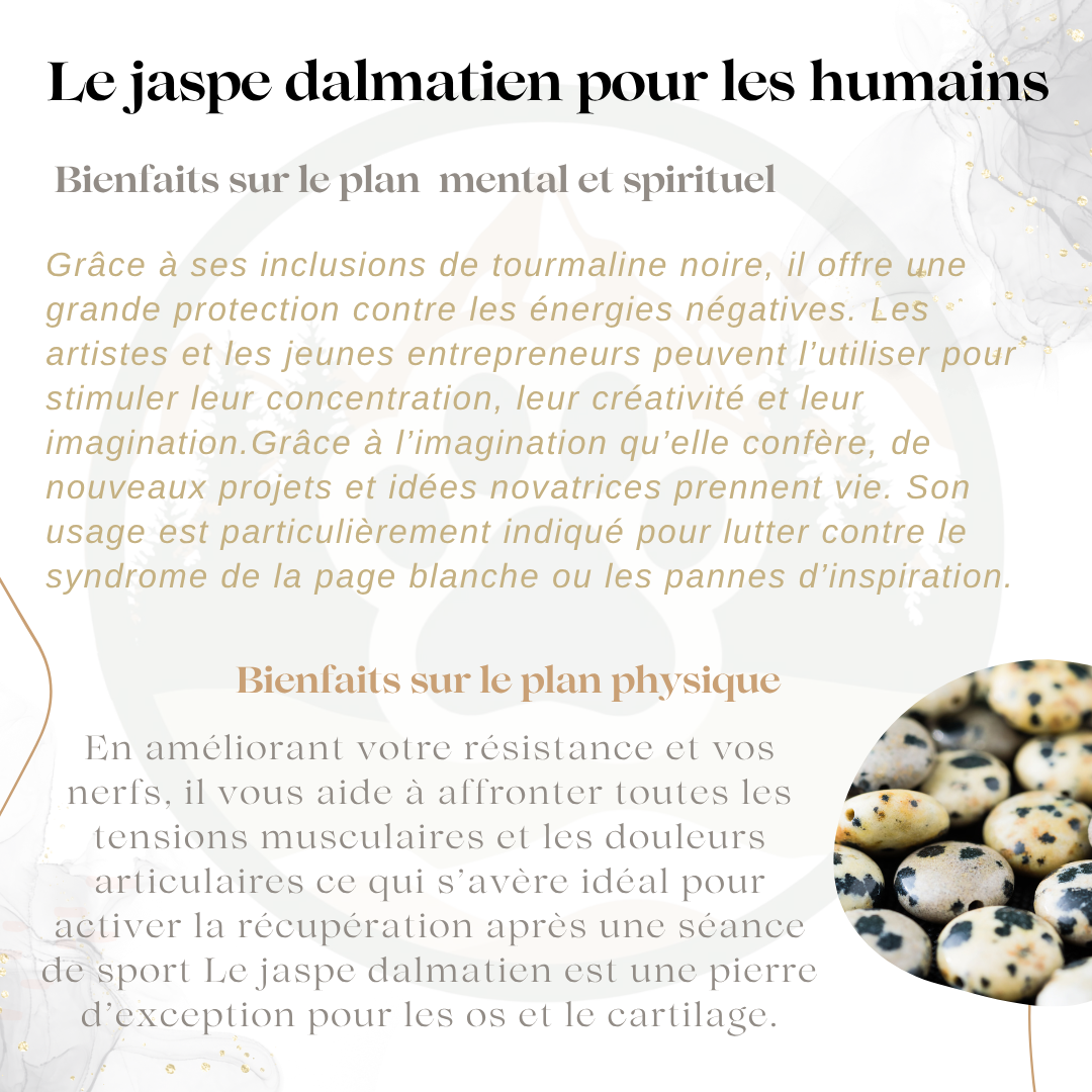 Pendentif en Jaspe Dalmatien — Moral & endurance