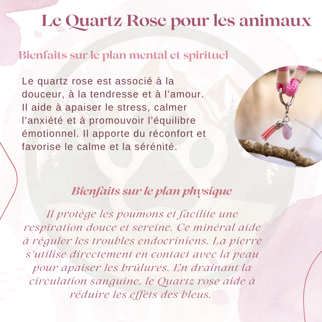 Pierre Quartz Rose — Douceur & sécurité