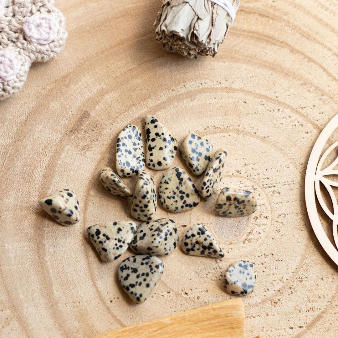 Pierre Jaspe Dalmatien — Moral & endurance