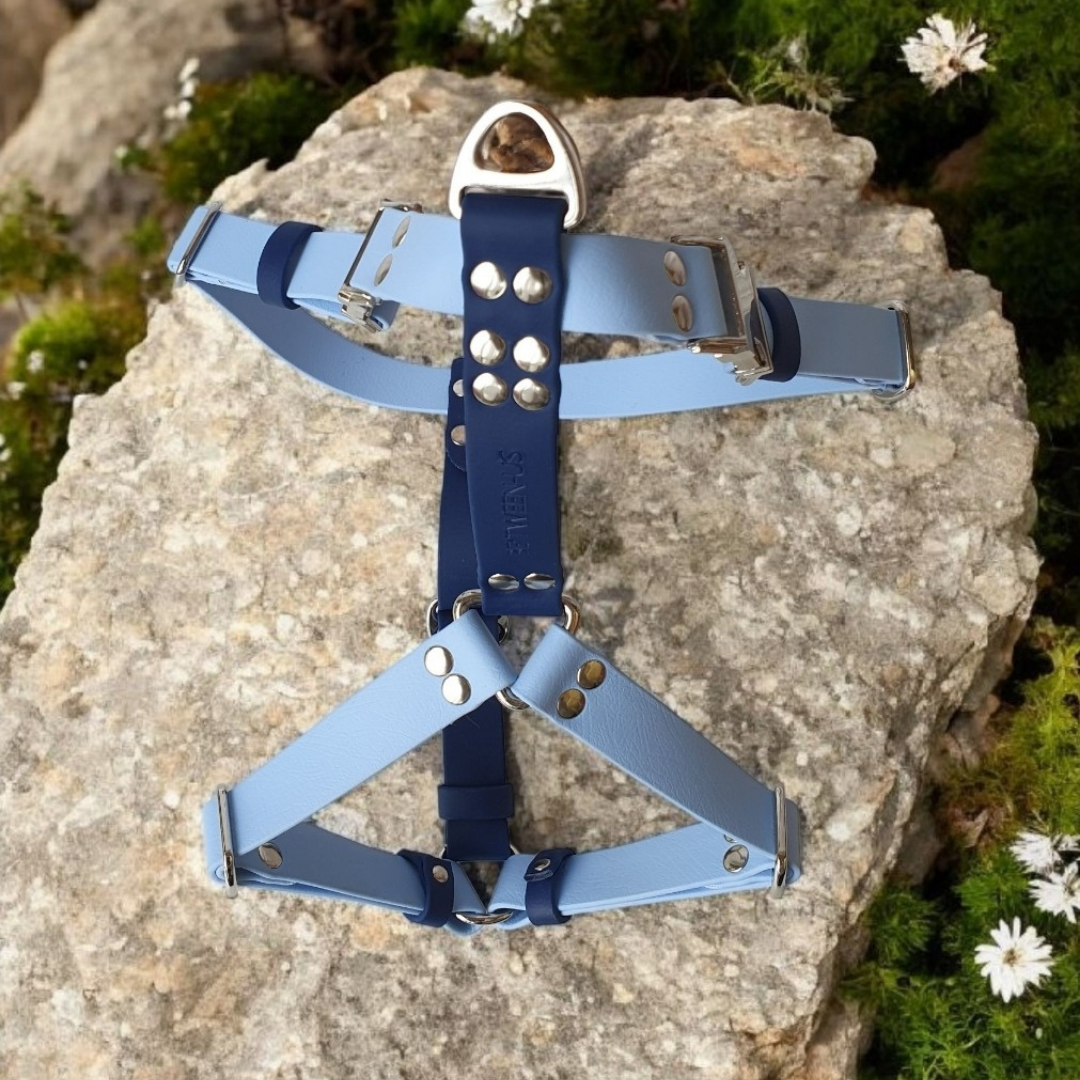 🦛 Harnais biothane HYPPO BOUE - sangle 38 mm de largeur