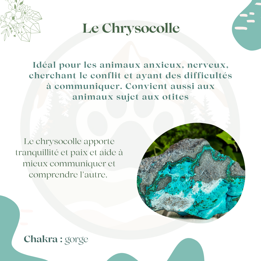 Pendentif en Chrysocolle — Harmonie & apaisement